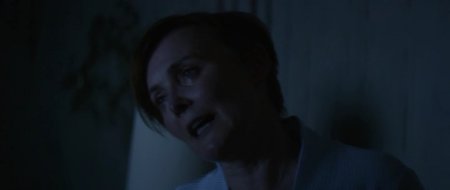 Хороший сосед (2016)