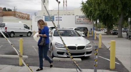 Ещё одна жена (2016)