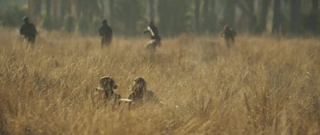 Осада Жадовиля (2016)