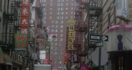 Единоличный собственник  (2016)