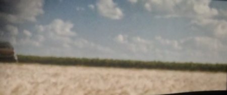 Дары смерти (2015)