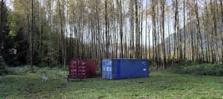 Даже у ягнят есть зубы (2015)