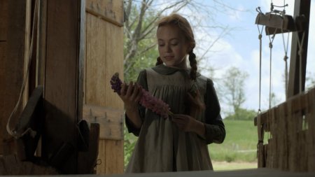 Энн из Зеленых Крыш (2016)