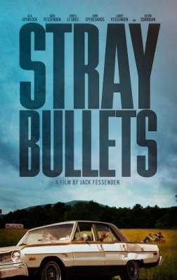 Шальные пули (2016)