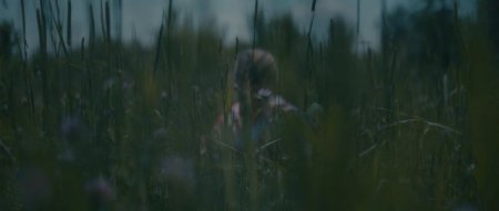 Прибытие (2016)