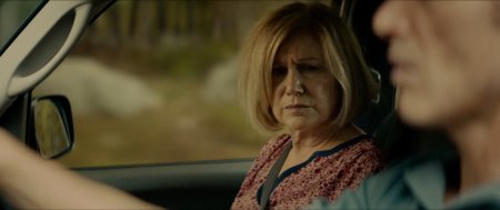 Молодость в Орегоне (2016)