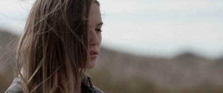 Семейство (2016)