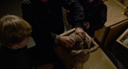 Клуб приключений (2017)