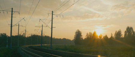 Американская жестокость (2017)