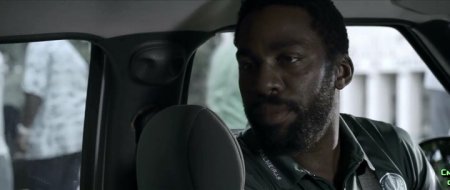 Собачий мир (2016)