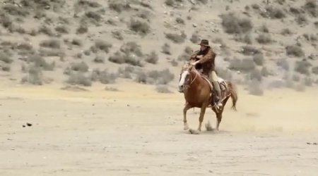 Шестизарядный спаситель (2016)