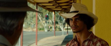 Дарвин — конечная остановка (2015)