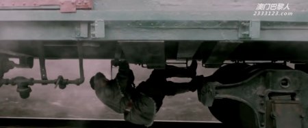 Железнодорожные тигры (2016)