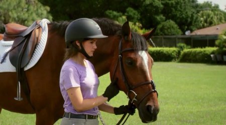 Зеница ока (2017)