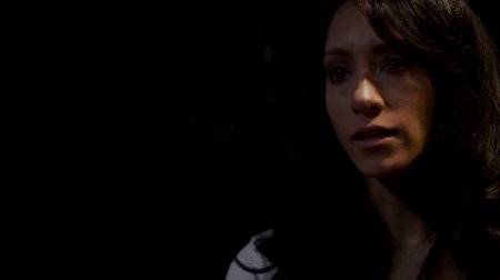 Космические Пираты: Приключения Сайбер Рэйна  (2016)