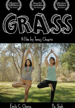 Фильм Травка (2017)