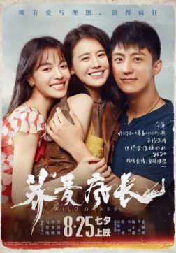 Фильм Дикие травы(2020)