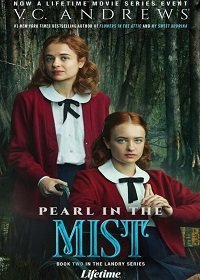 Фильм Семейство Лэндри: Свет в ночи (2021)