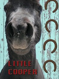 Фильм Маленький Купер (2020)