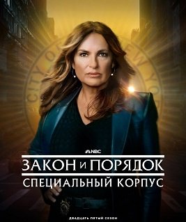 Фильм Закон и порядок: Специальный корпус (25 сезон)