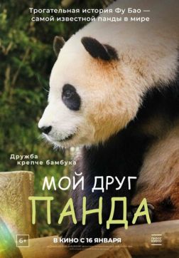 Фильм Мой друг панда (2024)