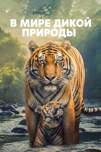 В мире дикой природы (1 сезон)