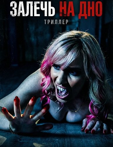Залечь на дно (2025)