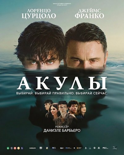 Акулы (2025)
